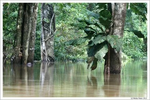 Хатшы порно войеризм