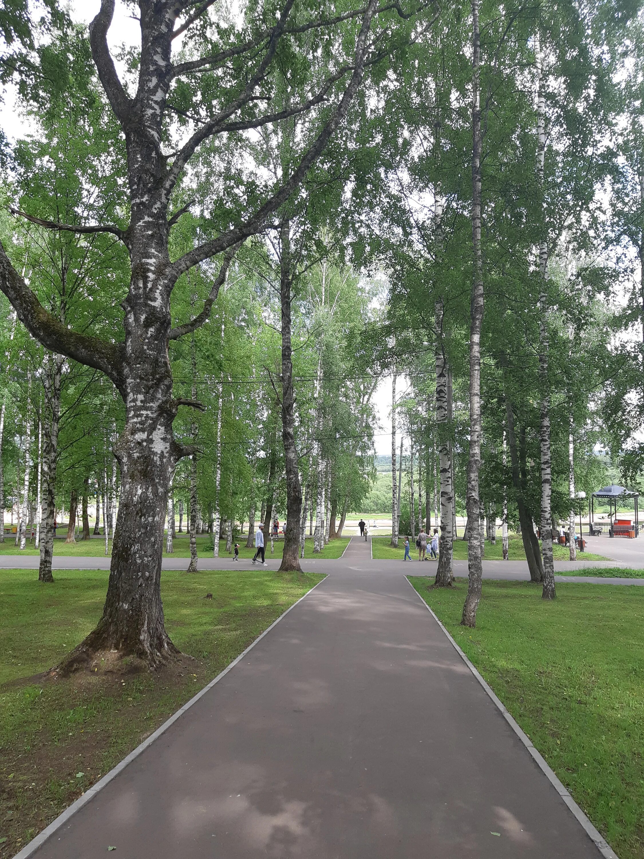набережная в кировском парке сыктывкар. сыктывкар парк им. кировский парк сыктывкар аттракционы. кировский парк сыктывкар. парк имени кирова сыктывкар.