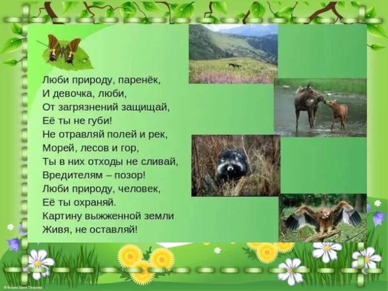 Как защищают природу проект по окружающему миру. Проект на тему природа. презентация на тему природа и мы. природа для презентации. проектная работа природа и мы.