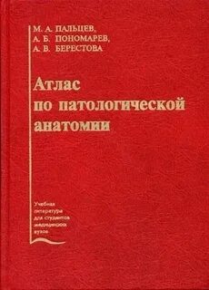 Пальцев м