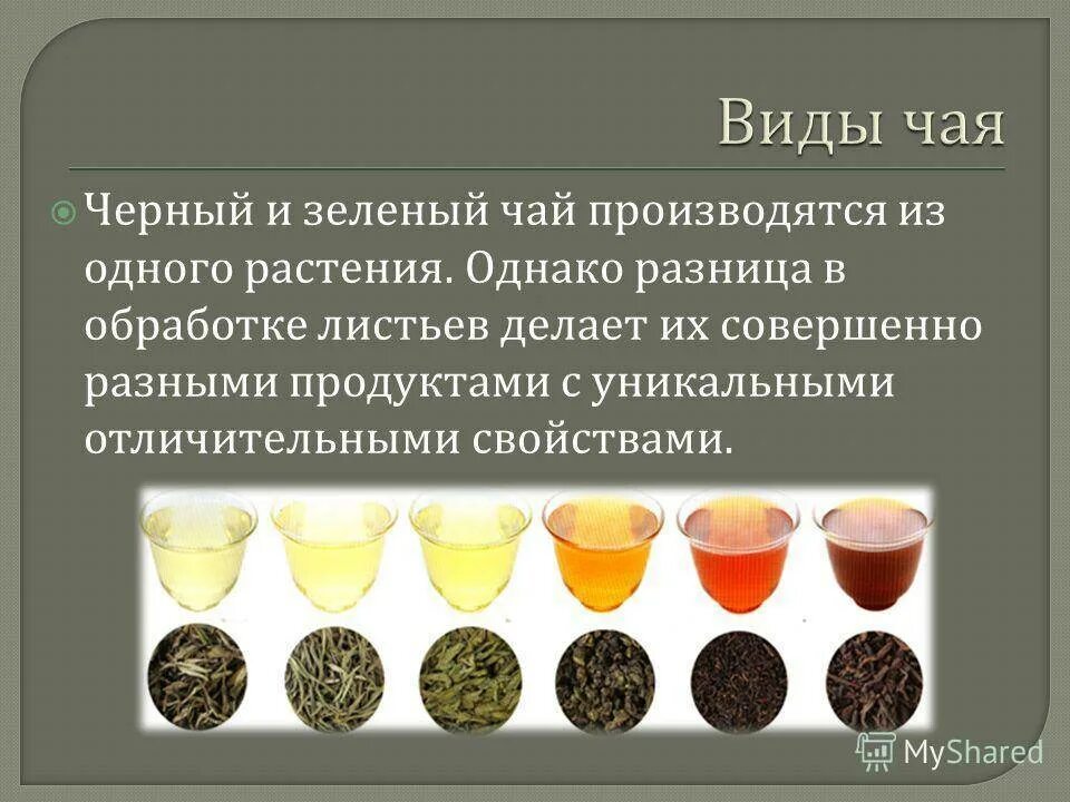 Чем отличается черный. Виды чая. Разновидности черного чая. Черный чай Тип. Виды зеленого чая.