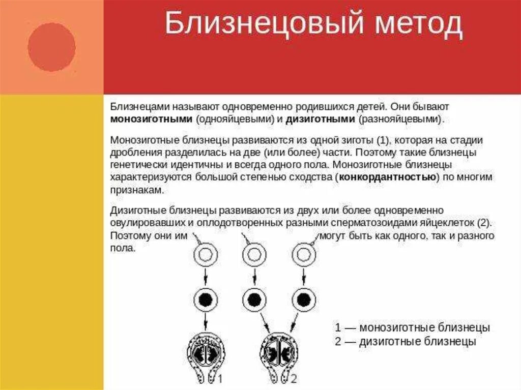 Близнецовый метод монозиготные и дизиготные. Механизм образования однояйцевых близнецов. Появление однояйцевых близнецов. Многояйцевые Близнецы и двойняшки.