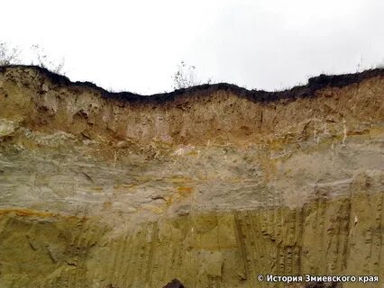 Земная 4 буквы