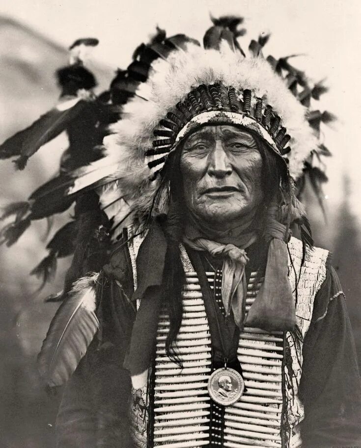 Native comments