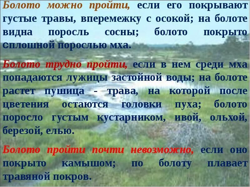 Костюм словаря. Текст болота. Трясина или тресина проверочное. Трясина или тресина проверочное. Трясина однокоренные слова.