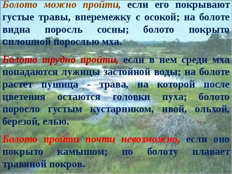 Болото опасность. Правила безопасного поведения на болоте. Болото памятка. Памятка поведения на болоте.