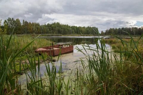 Озерки вологодская область