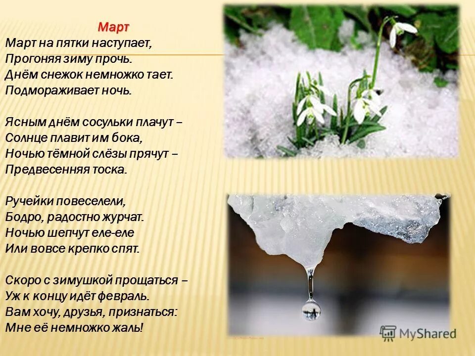 солнечная капель песня слова. стих март на пятки наступает. на дворе сосульки плакали под лучами. павел капельник 20 марта приметы. солнечная капель песня текст.