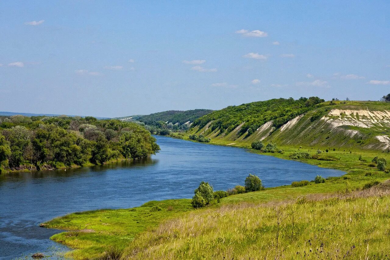 Река Дон в Воронежской области. Природа Воронежской области река Дон. Речка Дон Павловск Воронежская область. Река Дон в Павловске Воронежской области. Дон сколько рек