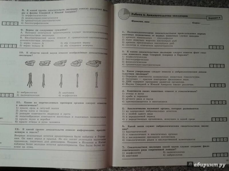 Экспресс диагностика 10 класс биология. Диагностические тесты биология 8 класс. Биология 11 класс Прилежаева ответы экспресс диагностика.