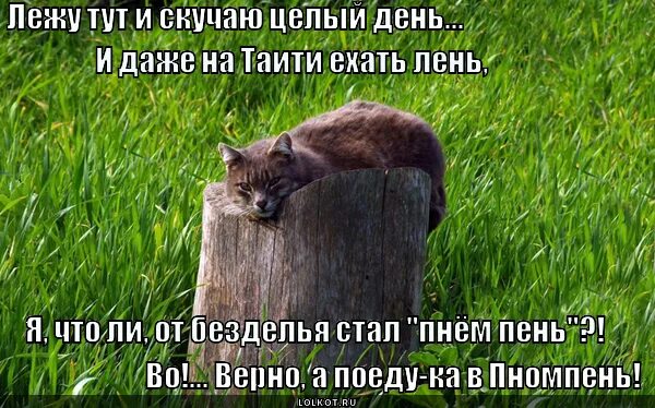 Цитаты про марину смешные. Ленивый кот. Турклуб ленивец футболка. Лень ехать. Лень ехать.