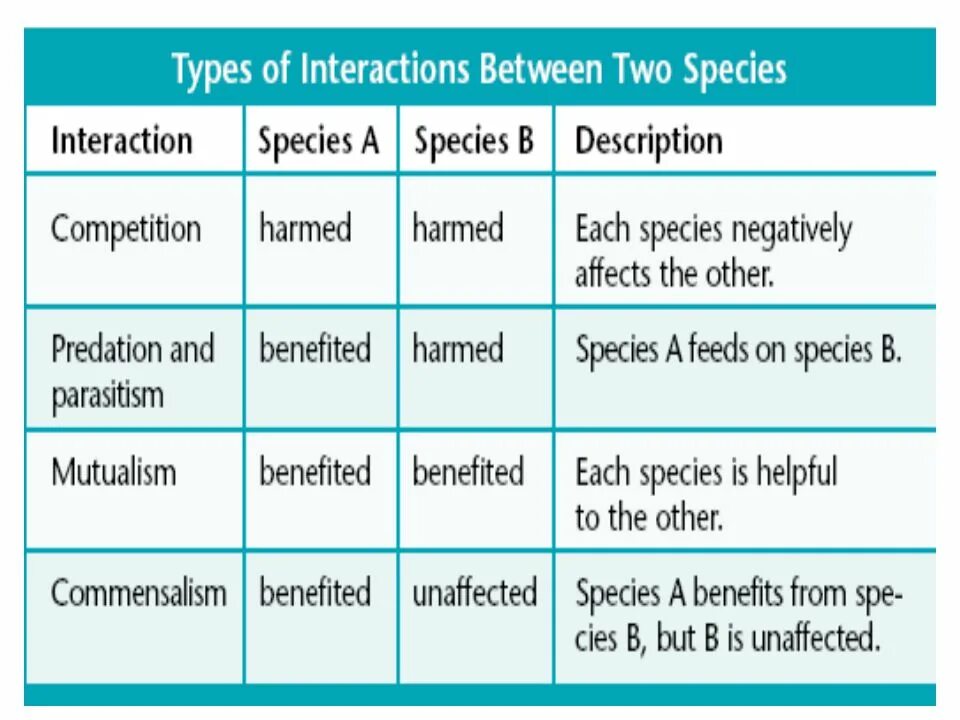 Interactive type. Interactive type