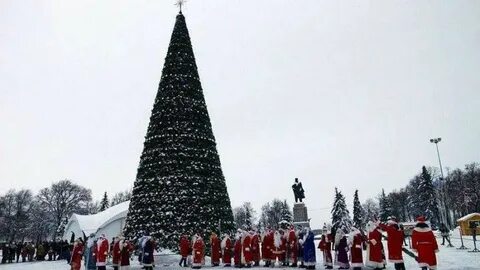 Новогодняя елка ульяновск