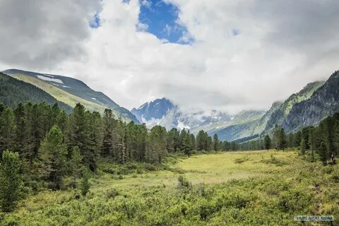 Горная тропа алтай