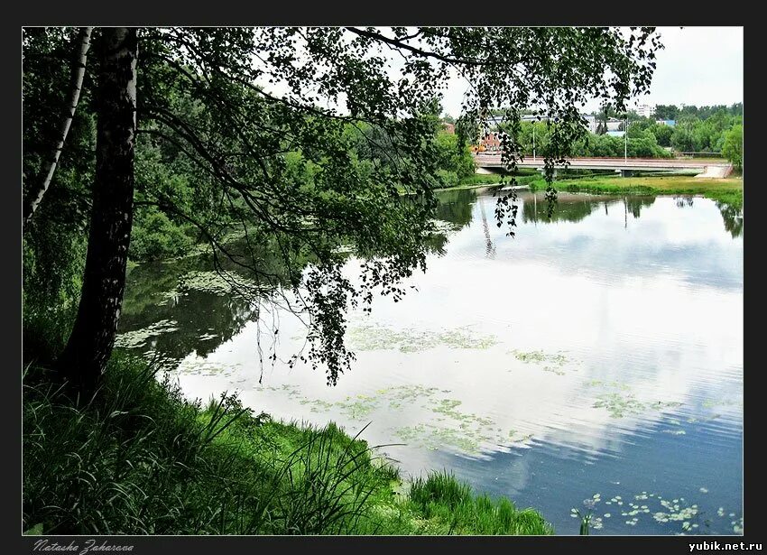 река клязьма московская область. исток клязьмы. течение реки клязьма. что люди делают люди для охраны реки. охрана река клязьма.