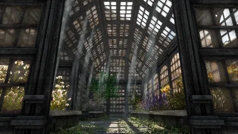 Immersive 1.16 5