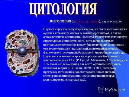 Наука цитология изучает тест