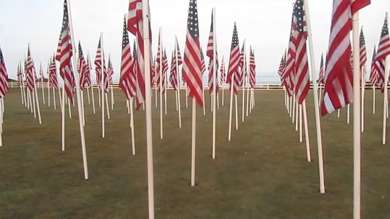 Флаг видео. Видео про Flag 2. Про флажку