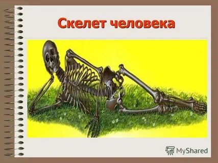 Урок опора и движение 8 класс