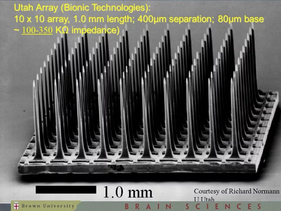 Array ru. Utah array (BRAINGATE). Матрица электродов. Utah array Electrode. Трахеальные матрицы электроды.