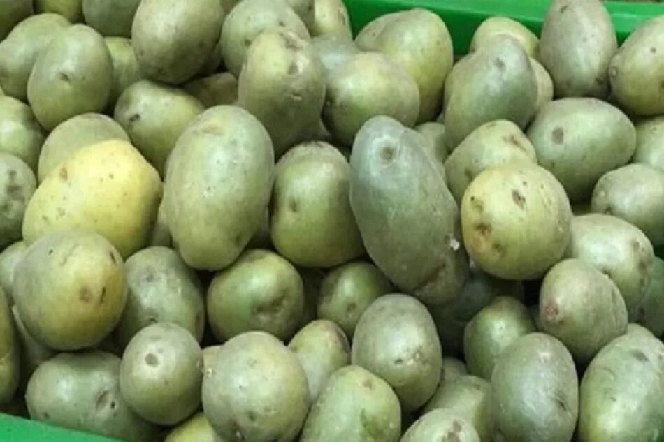 Can You Eat Green Potatoes Casero, Salud natural, Tratamientos naturales