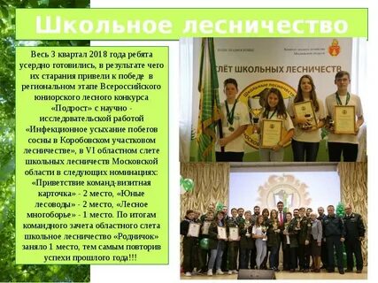 Лесничества презентация