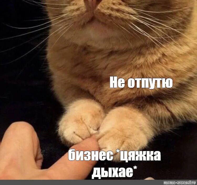 Мем не пускает. Мем не пускает