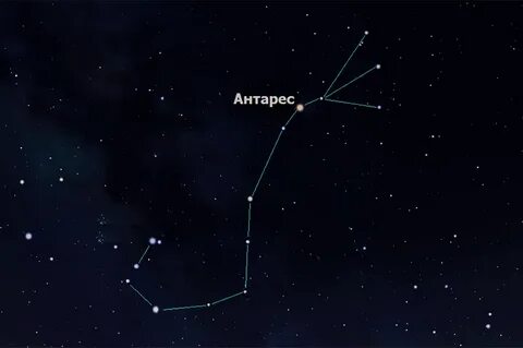 Как называется яркая звезда альфа скорпиона