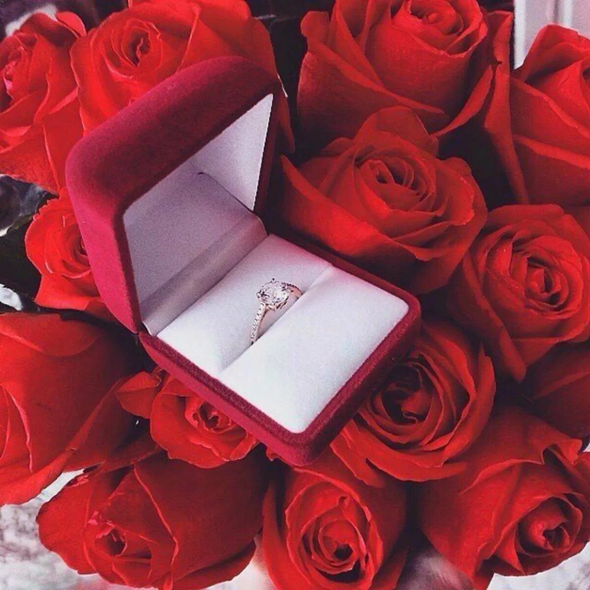 За рождение телефон. Цветы и кольцо в коробочке. Кольцо в коробочке с цветами. Розы и кольцо в коробочке. Цветы подарок для девушки.