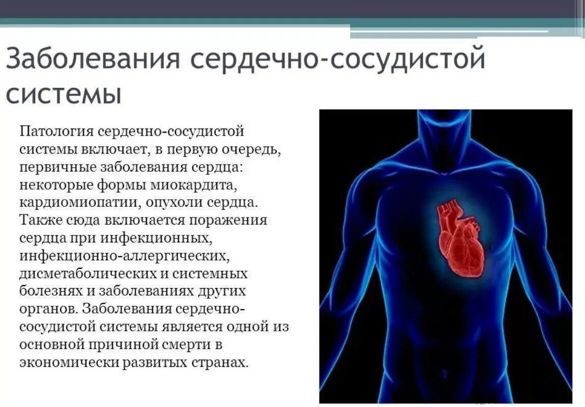 Сосудистые заболевания лекции. Сердечно-сосудистые заболевания. Нарушение сердечно сосудистой системы. Cсердечно-сосудистые заболевания.