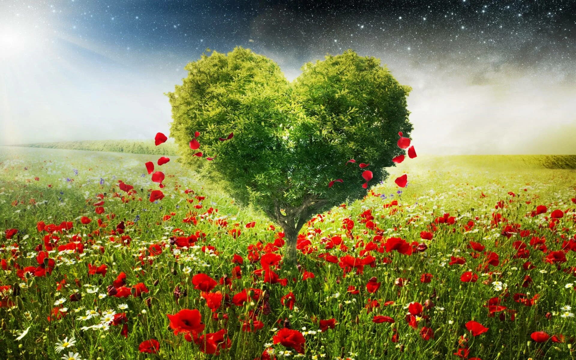I love nature. Любовь к природе. Красивое дерево сердце. Сердечки в природе. Пейзаж любви.