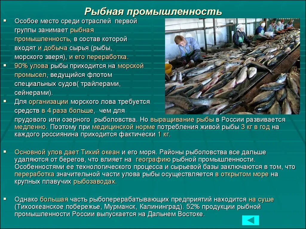 Информация о производстве рф. Особенности рыбной промышленности. Рыбная промышленность России. Рыбная промышленность развита в. Рыбная промышленность продукция выпускаемая.