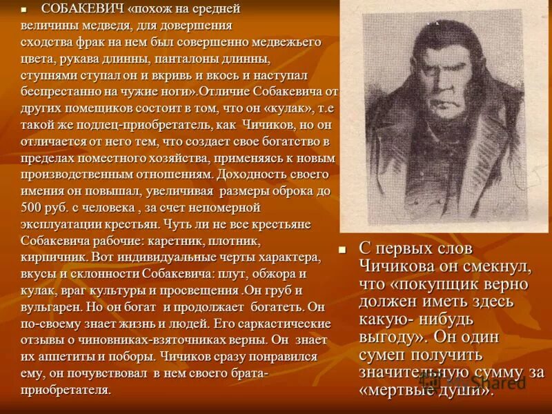 Медведь средней величины Собакевич. Собакевич был похож на медведя. Отношение к хозяйству Собакевича. Собакевич для довершения сходства.