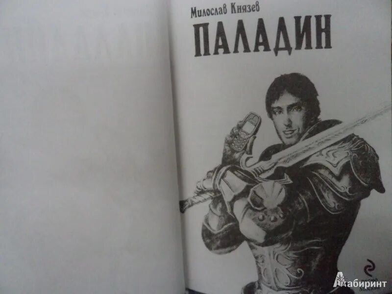 Последний паладин том 1 читать. Князев м. "Паладин".