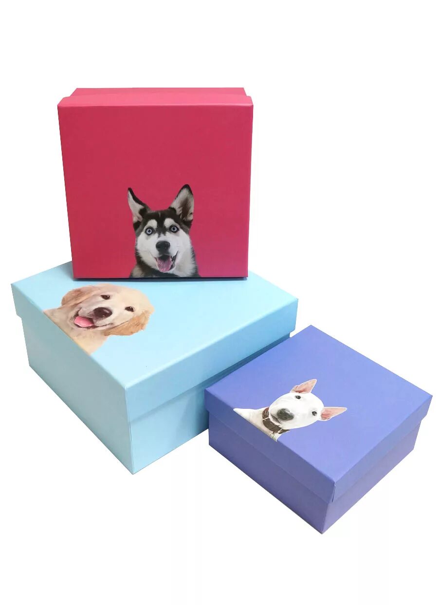 Коробки с собачками. Пес в коробке. Картинки щенков. Коробка с щенками. Щенок в подарок.