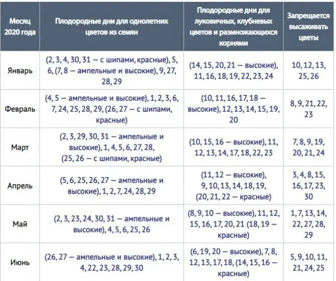 Когда можно пересаживать комнатные растения март 2024. Лунный календарь пересадка комнатных растений 2020. Лунный календарь домашних цветов. Благоприятные дни для пересадки комнатных растений. Благоприятные дни для пересадки домашних цветов.