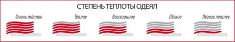 Степень теплоты