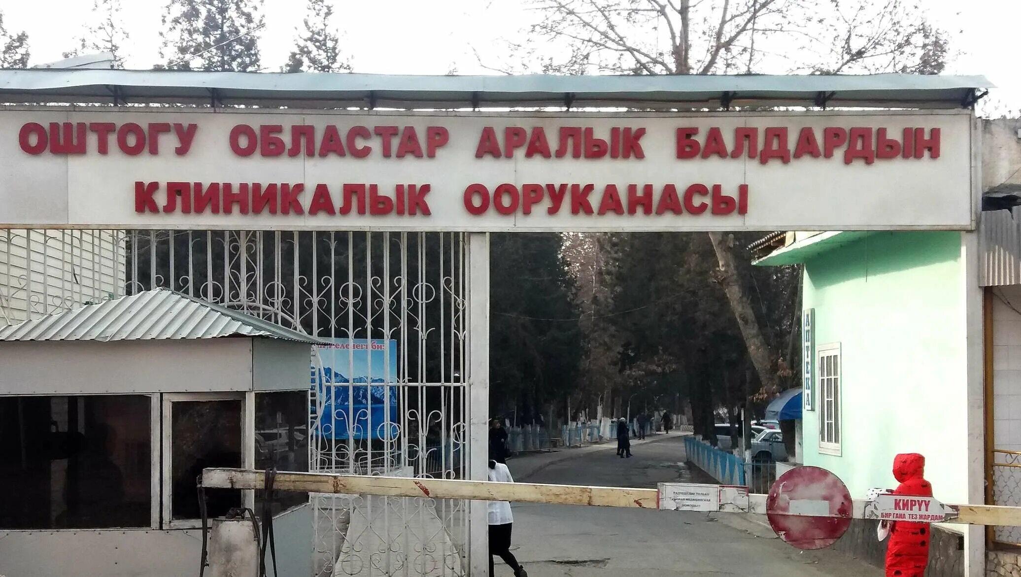 Областная больница ош. Детская областная больница ош. Ош обл больница. Г ош детская областная больница. Г ош детская областная больница.
