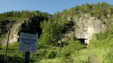 Денисовы пещеры алтайский край