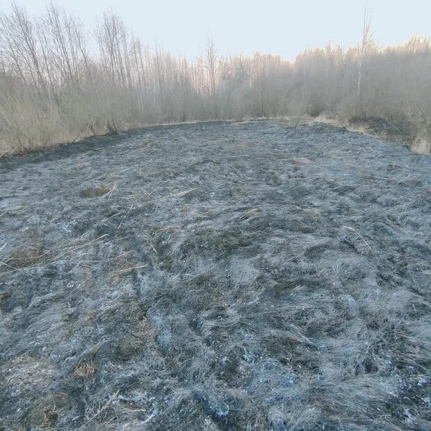 Домашицы пинский район. Верхнедвинский район агроусадьбы. Деревня выгода. Современная улица в деревне. Деревня освея витебская область.