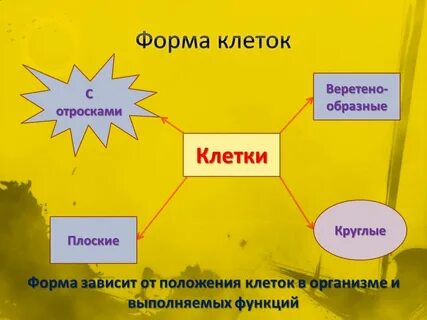Зависеть формы