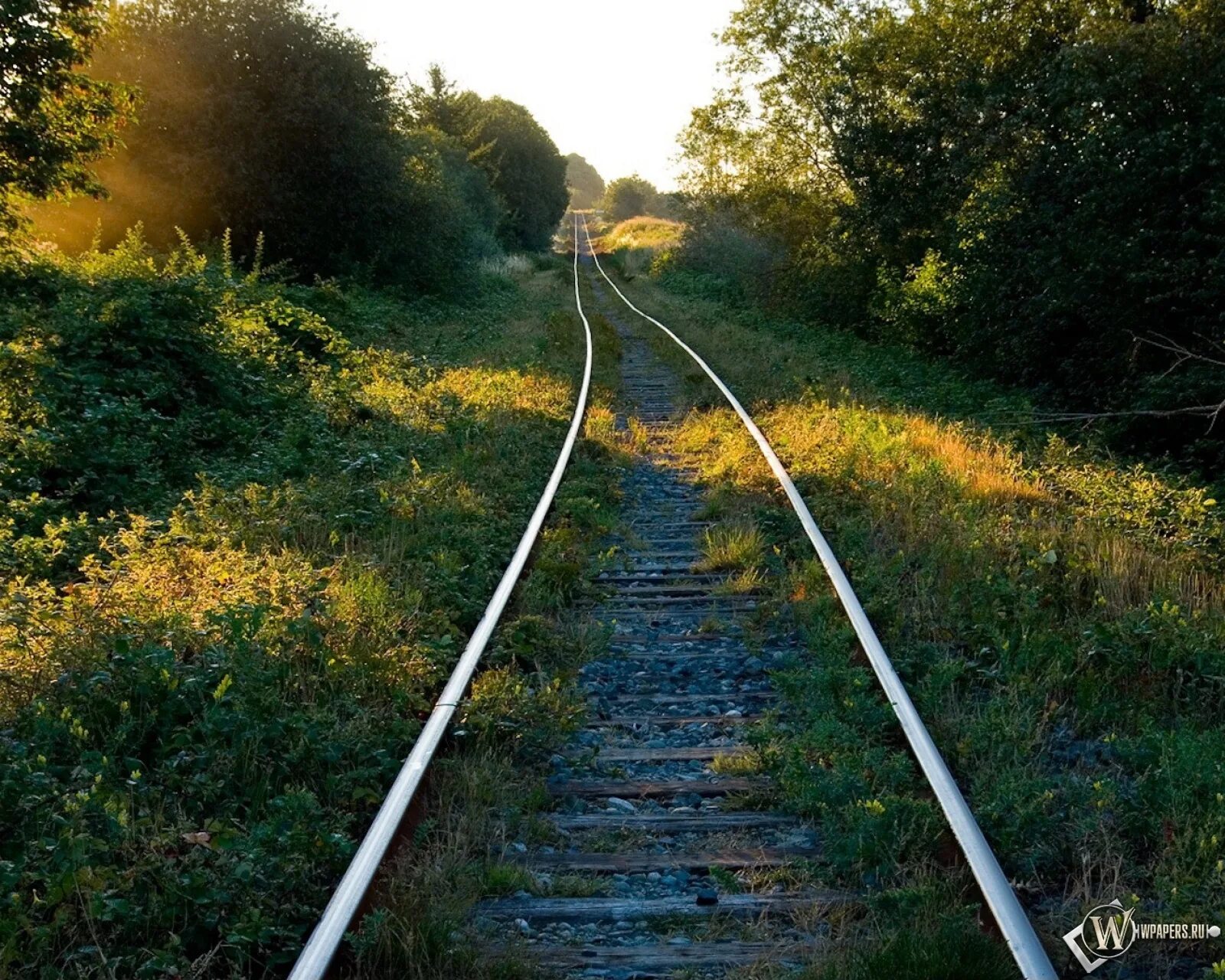 Никуда фото. Железная дорога в никуда. Старые рельсы. Железная дорога втникуда. Железная дорога обои.