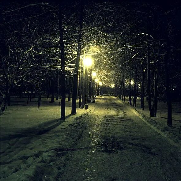 Темный холодный вечер. Улица зимой ночью. Зимний парк ночью. Ночная зимняя улица. Темная зимняя улица.