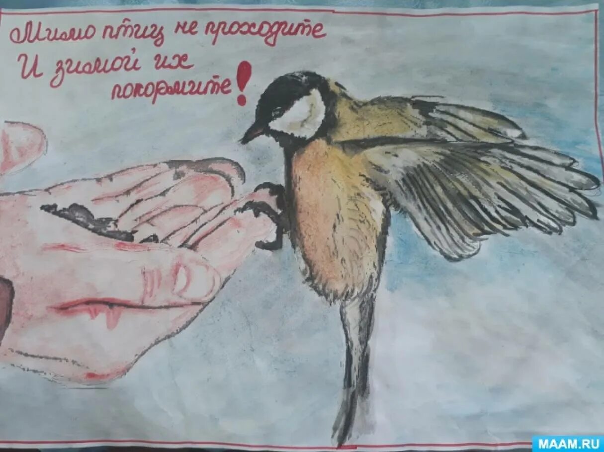 Рисунок на тему птицы. Плакат в защиту птиц. Покормите птиц зимой.