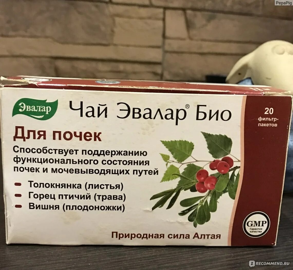 Что выпить при боли в почках. Травяные чаи Эвалар био. Чай для почек. Фиточай для почек.