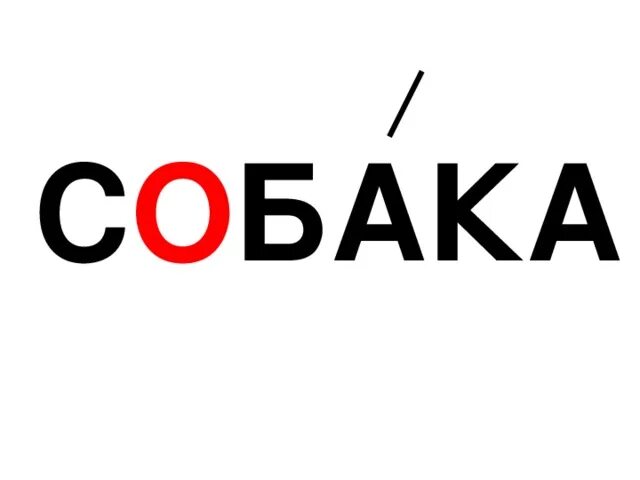 Слово шавка. Слово собака. Словарное слово собака в картинках. Словарная работа собака. Собака словарное слово 1 класс.