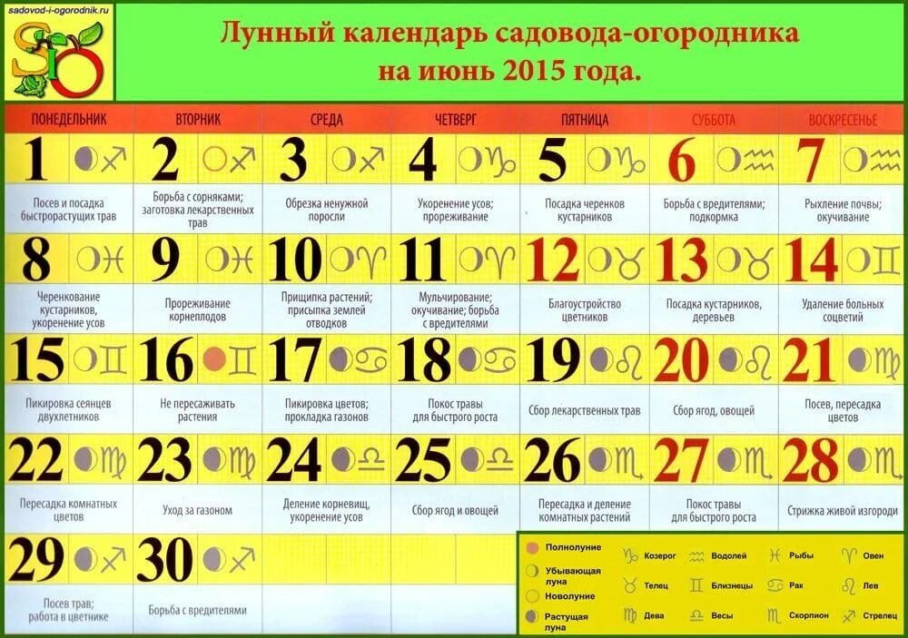 зодиак садовода. книжная выставка садоводам и огородникам. календарь садовода и огородника на 2022. календарь огородника. календарь садовода.