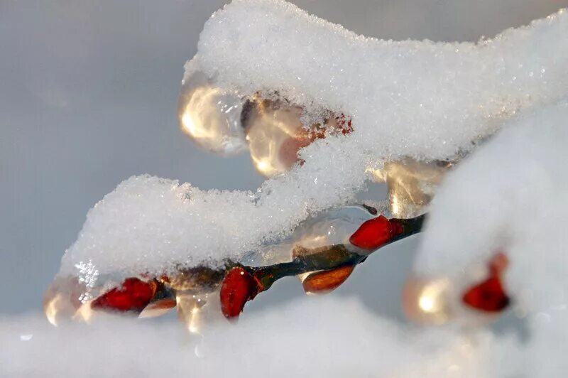 открытки с добрым утром зимние. с добрым морозным утром и хорошего дня. картинки зимняя оттепель с добрым утром. утро зима. доброе снежное утро.