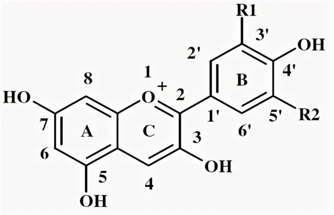 Синтез антоцианов. Антоцианидин формула структурная. Антоцианы формула структурная. Антоциан формула химическая. Общая формула антоцианов.