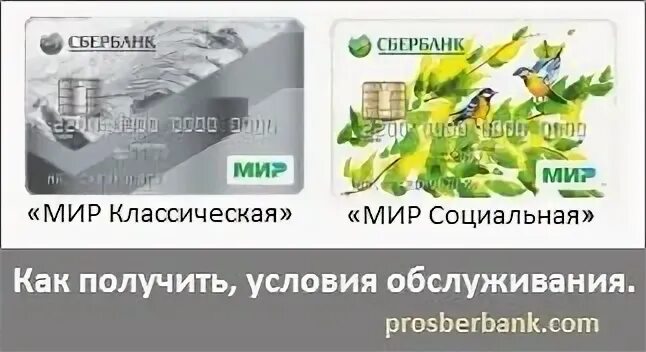 Мир карту социальную получить